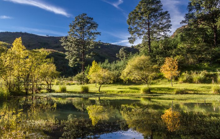 Esigodini Cottage Facilities dam