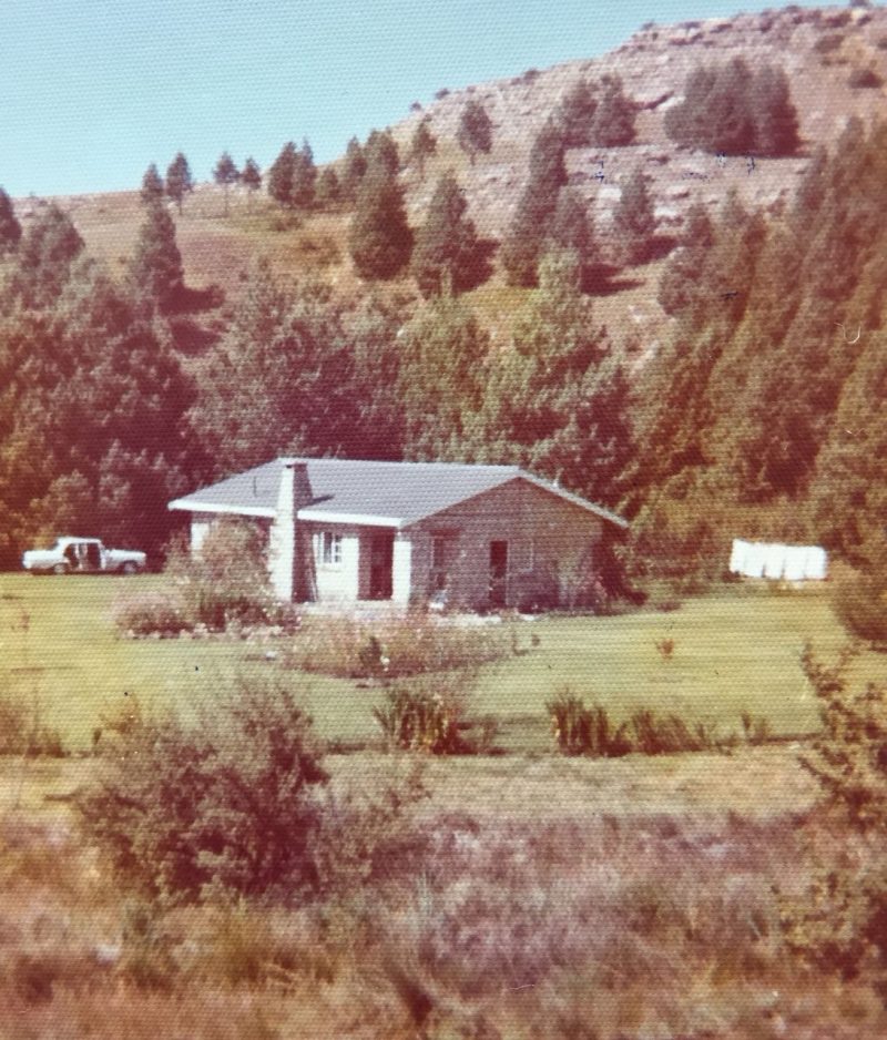 Esigodini Cottage 1966