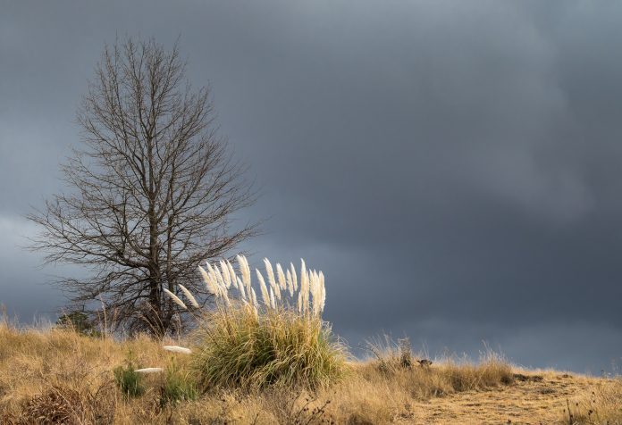Esigodini Cottage Southern Drakensberg views