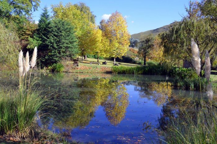 Esigodini Cottage Facilities Dam
